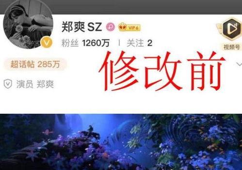 娱乐吃瓜背景图图文素材,揭秘明星幕后故事，吃瓜群众狂欢时刻  第3张