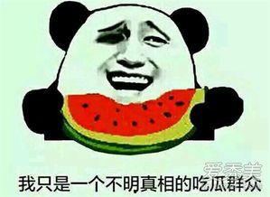 吃瓜群众娱乐版在线观看,揭秘热门综艺幕后故事,带你畅游欢乐海洋 第3张 吃瓜群众娱乐版在线观看,揭秘热门综艺幕后故事,带你畅游欢乐海洋 第3张