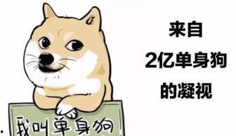 娱乐吃瓜君脱单冷知识,那些你不知道的脱单冷知识 第1张 娱乐吃瓜君脱单冷知识,那些你不知道的脱单冷知识 第1张