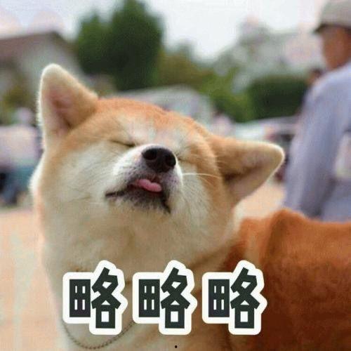 娱乐吃瓜酱送小狗视频大全,萌宠小狗视频大全,萌化你的心! 第3张 娱乐吃瓜酱送小狗视频大全,萌宠小狗视频大全,萌化你的心! 第3张