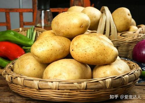 吃瓜娱乐圈土豆是谁,揭秘明星幕后故事 第3张 吃瓜娱乐圈土豆是谁,揭秘明星幕后故事 第3张