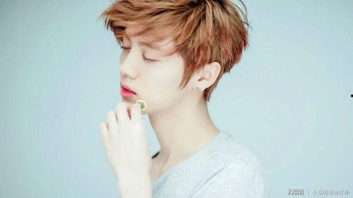 网易娱乐频道鹿晗吃瓜,娱乐圈新热点引发网友热议  第2张