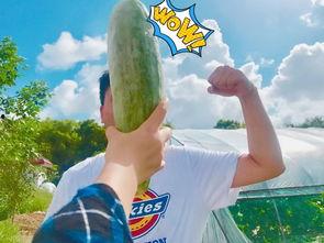 吃娱乐圈的瓜吃到饱,一网打尽明星秘闻,尽享八卦盛宴 第2张 吃娱乐圈的瓜吃到饱,一网打尽明星秘闻,尽享八卦盛宴 第2张