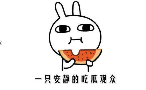 娱乐吃瓜君的消息准确吗,消息准确性揭秘 第1张 娱乐吃瓜君的消息准确吗,消息准确性揭秘 第1张