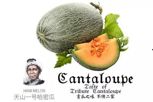 娱乐吃瓜配乐推荐一下,盘点热门配乐推荐 第1张 娱乐吃瓜配乐推荐一下,盘点热门配乐推荐 第1张