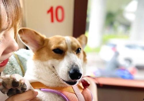 热门八卦娱乐吃瓜搞笑,笑料百出,八卦连连,揭秘明星幕后趣事 第3张 热门八卦娱乐吃瓜搞笑,笑料百出,八卦连连,揭秘明星幕后趣事 第3张