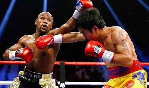 吃瓜娱乐拳击比赛视频在线观看,在线观看吃瓜娱乐拳击比赛精彩瞬间 第1张 吃瓜娱乐拳击比赛视频在线观看,在线观看吃瓜娱乐拳击比赛精彩瞬间 第1张