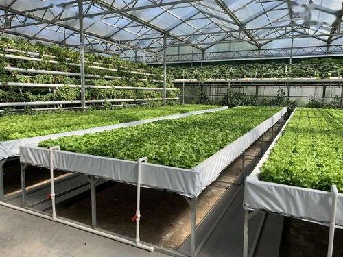 娱乐吃瓜酱中国本土的,揭秘中国本土娱乐圈的幕后故事 第2张 娱乐吃瓜酱中国本土的,揭秘中国本土娱乐圈的幕后故事 第2张