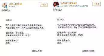 娱乐圈吃瓜张翰视频,揭秘明星幕后故事  第2张