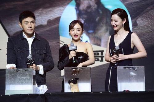 吃瓜群众cj爆料娱乐圈,吃瓜群众cj揭秘幕后真相 第3张 吃瓜群众cj爆料娱乐圈,吃瓜群众cj揭秘幕后真相 第3张