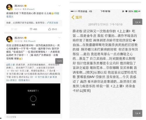 娱乐圈吃瓜的文件,幕后真相与明星隐私曝光  第3张