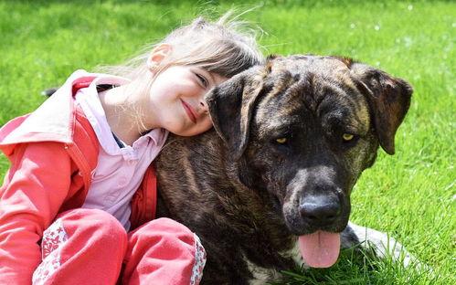 假如狗会说话娱乐吃瓜酱  第3张