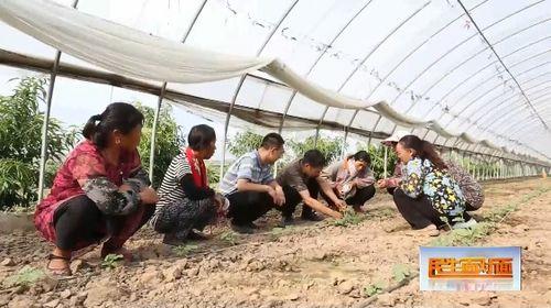 娱乐吃瓜视频封面怎么做,创意与技巧解析 第2张 娱乐吃瓜视频封面怎么做,创意与技巧解析 第2张