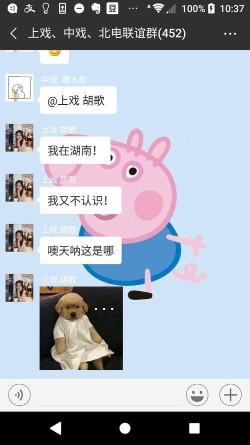 吃瓜微信群娱乐圈,吃瓜群里的幕后故事大揭秘 第2张 吃瓜微信群娱乐圈,吃瓜群里的幕后故事大揭秘 第2张