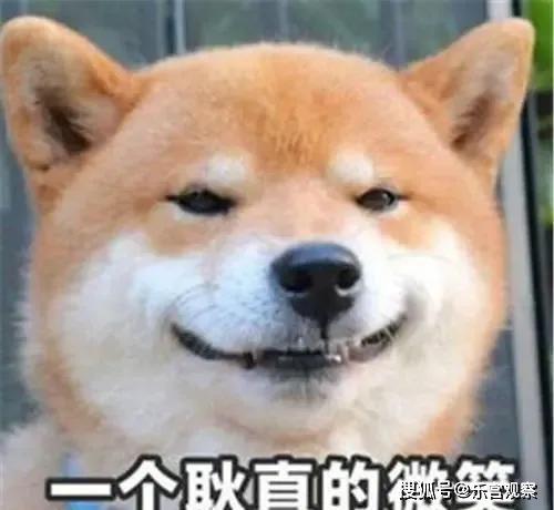 娱乐圈吃瓜的猹,揭秘“吃瓜猹”背后的八卦真相 第2张 娱乐圈吃瓜的猹,揭秘“吃瓜猹”背后的八卦真相 第2张