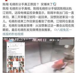 娱乐圈吃瓜李小璐微博,李小璐微博揭秘，真相与争议并存