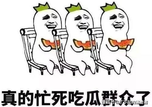 娱乐吃瓜酱防止智力退化,趣味生活与智力保持的巧妙结合” 第2张 娱乐吃瓜酱防止智力退化,趣味生活与智力保持的巧妙结合” 第2张