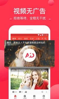 娱乐吃瓜小灵通小说下载,揭秘小说世界里的幕后故事 第2张 娱乐吃瓜小灵通小说下载,揭秘小说世界里的幕后故事 第2张