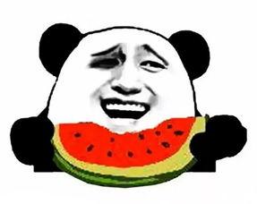 娱乐吃瓜酱生日文案搞笑,搞笑文案大放送 第3张 娱乐吃瓜酱生日文案搞笑,搞笑文案大放送 第3张