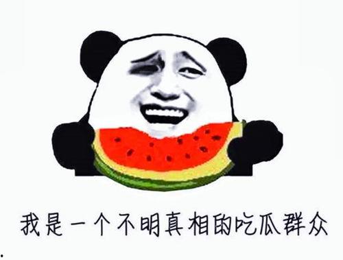 娱乐吃瓜酱爱藏在废话里,藏在废话中的情感与趣味