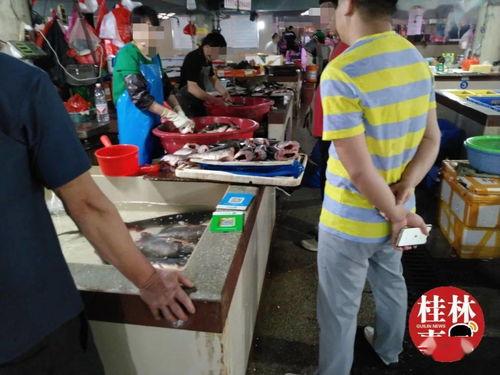 娱乐吃瓜酱爱藏在废话里,藏在废话中的情感与趣味 第2张 娱乐吃瓜酱爱藏在废话里,藏在废话中的情感与趣味 第2张
