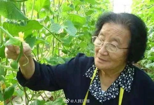 娱乐吃瓜酱中华文化,娱乐吃瓜视角下的中华文化魅力探索 第3张 娱乐吃瓜酱中华文化,娱乐吃瓜视角下的中华文化魅力探索 第3张