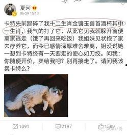 娱乐吃瓜酱虐猫小说,娱乐吃瓜酱的黑暗面揭露 第2张 娱乐吃瓜酱虐猫小说,娱乐吃瓜酱的黑暗面揭露 第2张