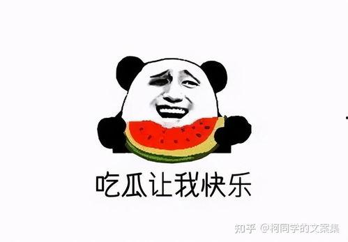 娱乐吃瓜酱你傻不傻,揭秘“你傻不傻”背后的热点事件 第2张 娱乐吃瓜酱你傻不傻,揭秘“你傻不傻”背后的热点事件 第2张