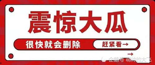 娱乐吃瓜八卦图,吃瓜图背后的惊人真相 第2张 娱乐吃瓜八卦图,吃瓜图背后的惊人真相 第2张