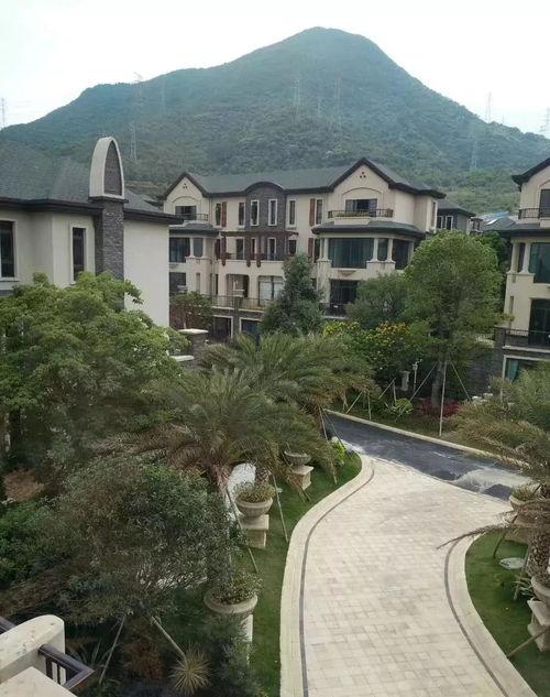 718娱乐吃瓜最新地址,独家爆料等你来探 第3张 718娱乐吃瓜最新地址,独家爆料等你来探 第3张