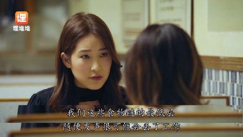 在娱乐圈在线吃瓜小说,瓜田里的秘密风云录