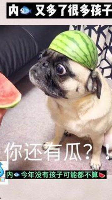 娱乐吃瓜酱宝宝是谁,网络红人的崛起之路 第2张 娱乐吃瓜酱宝宝是谁,网络红人的崛起之路 第2张